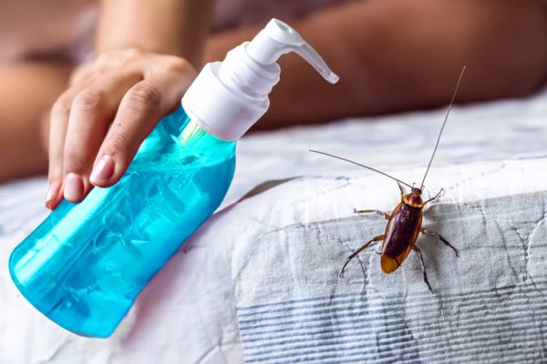Stop Bugs WithoutExterminator