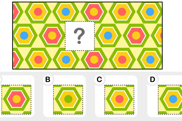 IQ Test – 20Questions